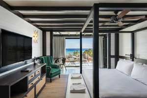 Suite Master Privilege